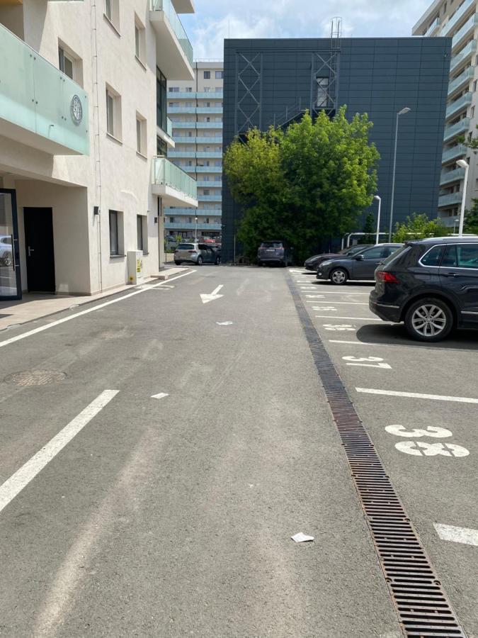 Dina Lux Iasi